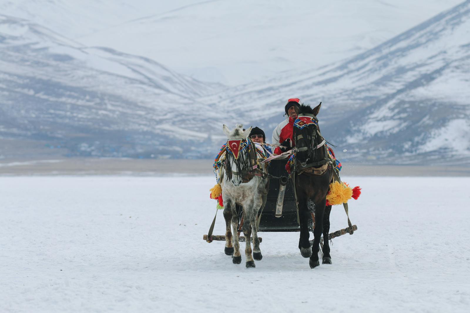 A scenic winter sleigh ride with horses across a snow-covered mountain landscape.